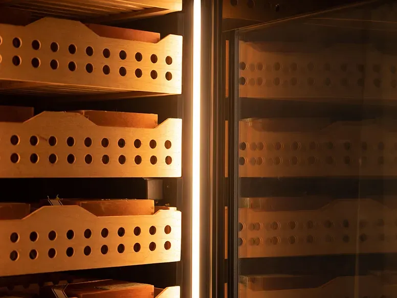 Are electric humidors worth it?