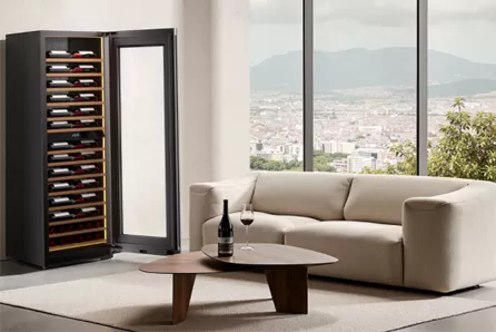 Wine Coolers: The Perfect Climate for Fine Wines